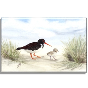 Leinwand 40 x 30 cm Keilrahmen Canvas-Leinen Aquarell Maritim Kunst Druck Kunstdruck Nordsee Amrum 5 - Austernfischer am Strand